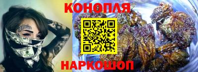 гидра Славянск-на-Кубани