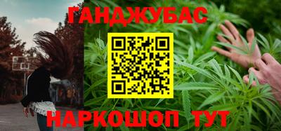 стаф Сланцы
