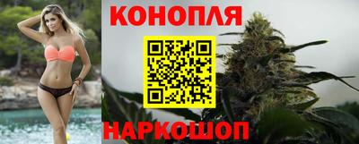 стаф Сланцы