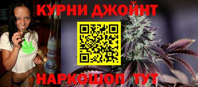 стаф Сланцы