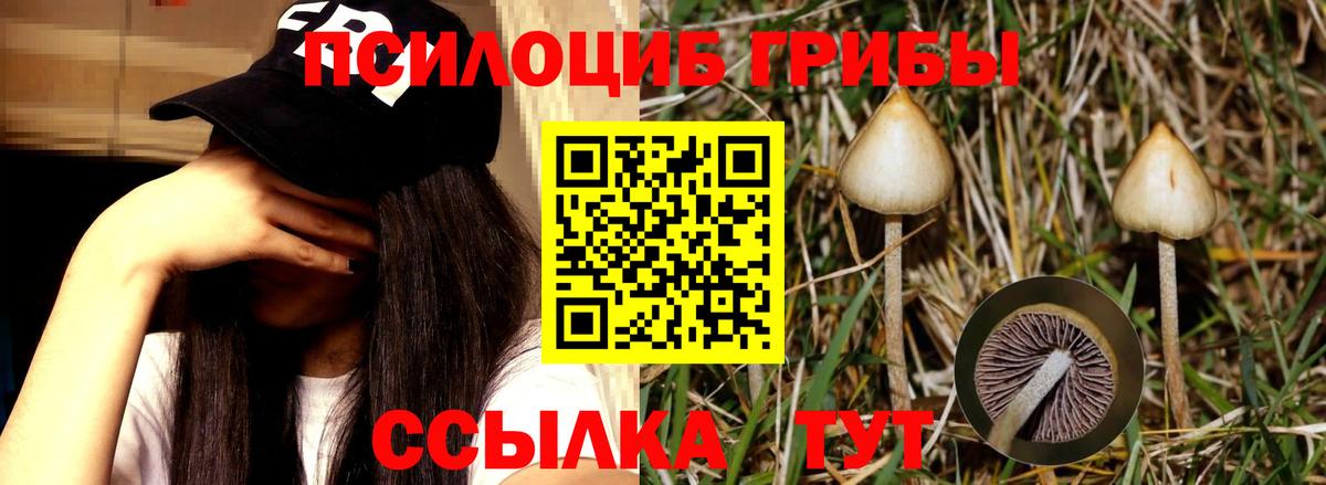 Галлюциногенные грибы мухоморы  Вход с VPN  Псилоцибиновые грибы мухоморы  Пенза 